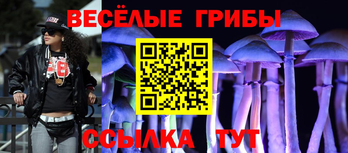 Урус-Мартан  Псилоцибиновые грибы мухоморы  Вход с VPN 